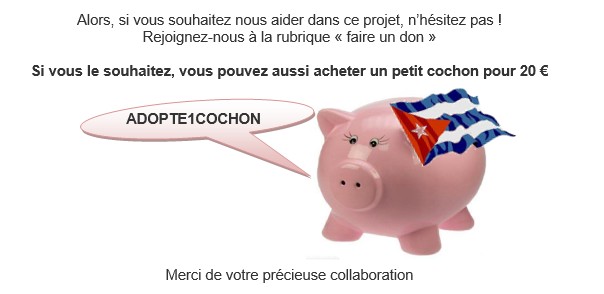cochon3
